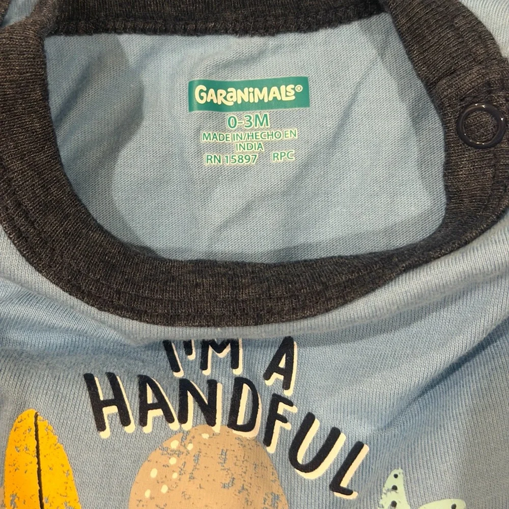 Garanimals 0-3 Bodysuit Bundle